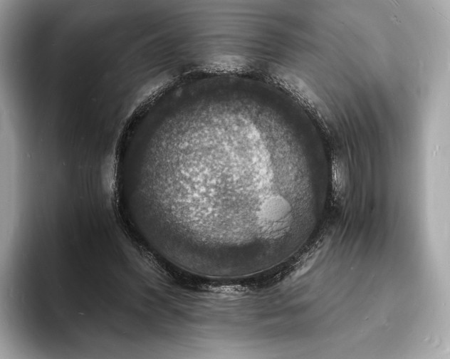 X0000094060396200710261230