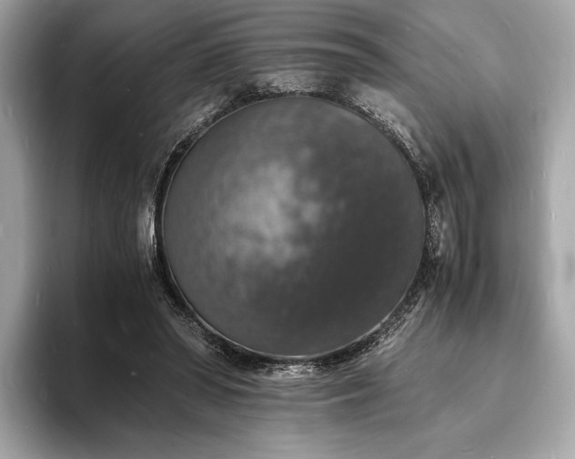X0000094060398200710261230