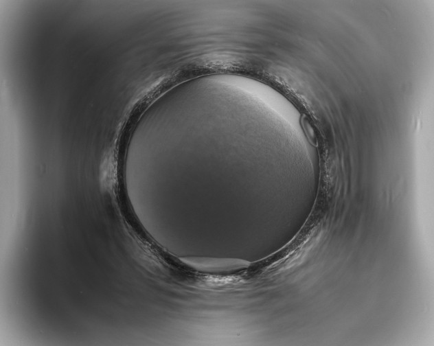 X0000094060399200710261230