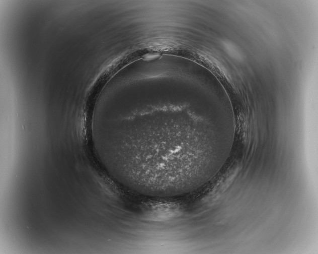 X0000094060400200710261230