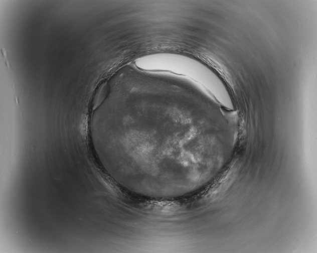 X0000094060401200710261230