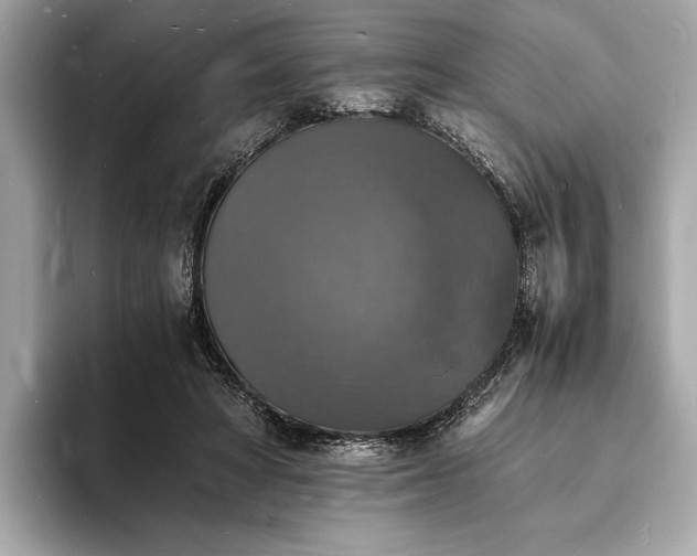 X0000094060402200710261230