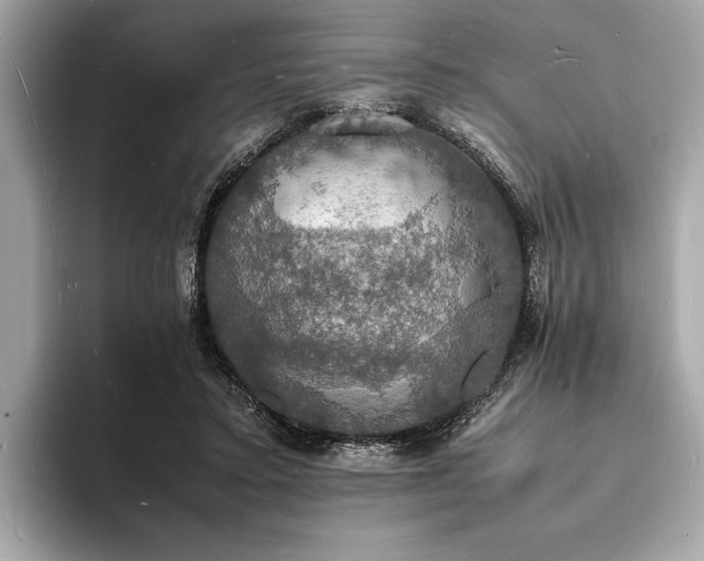 X0000094060403200710261230
