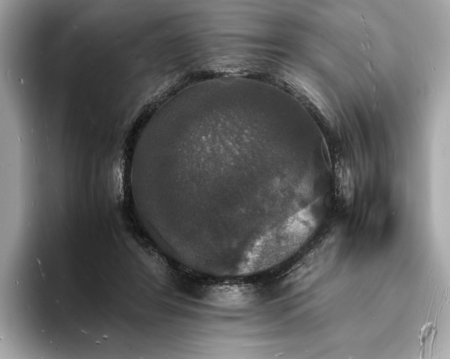 X0000094060404200710261230