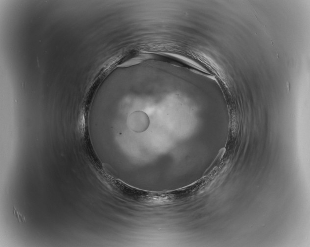 X0000094060405200710261230