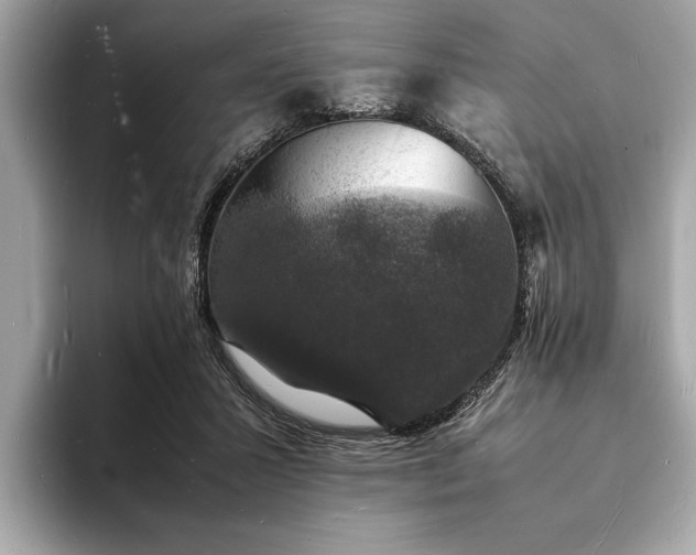 X0000094060407200710261230