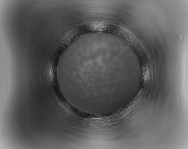 X0000094060408200710261230