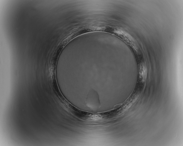 X0000094060409200710261230