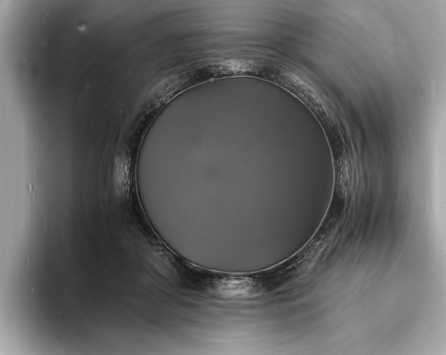 X0000094060410200710261230