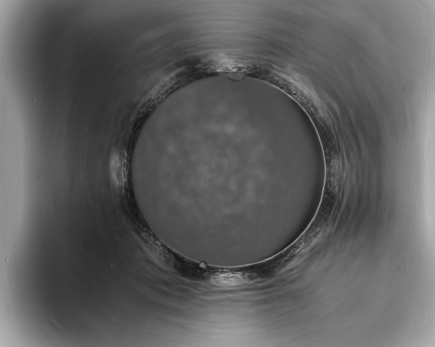 X0000094060413200710261230