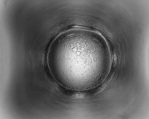 X0000094060416200710261230