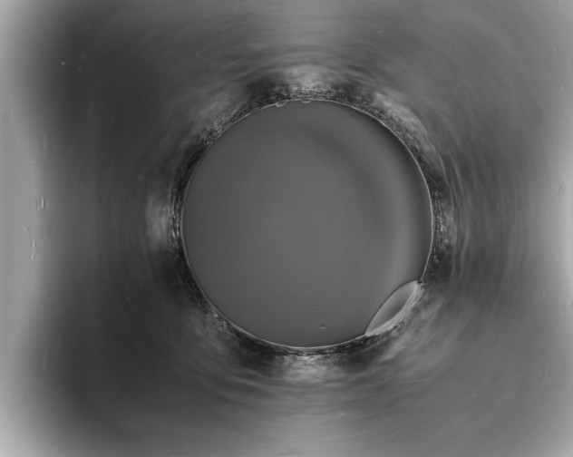X0000094060419200710261230