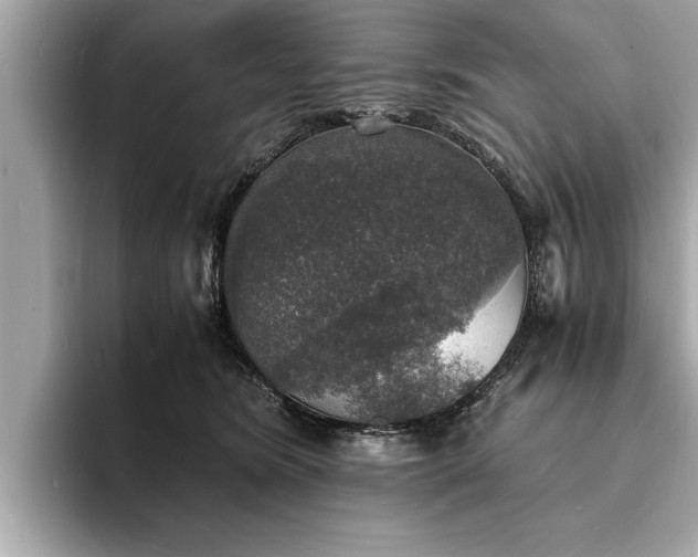 X0000094060420200710261229