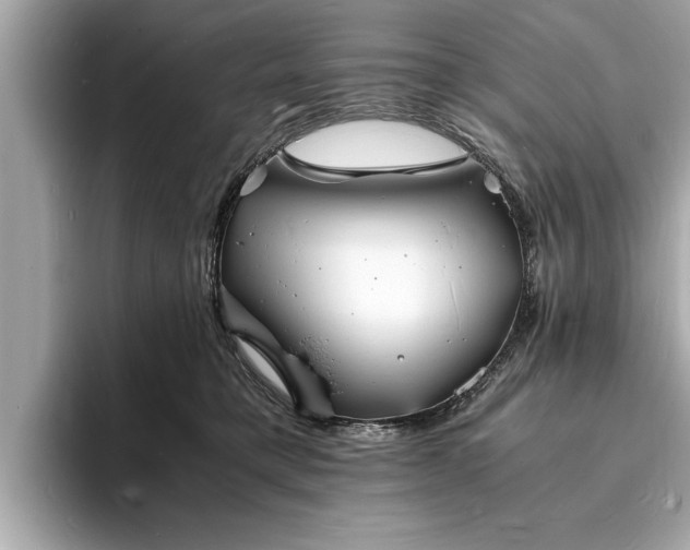X0000094060421200710261229