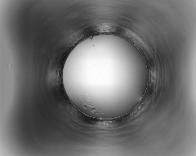 X0000094060422200710261229