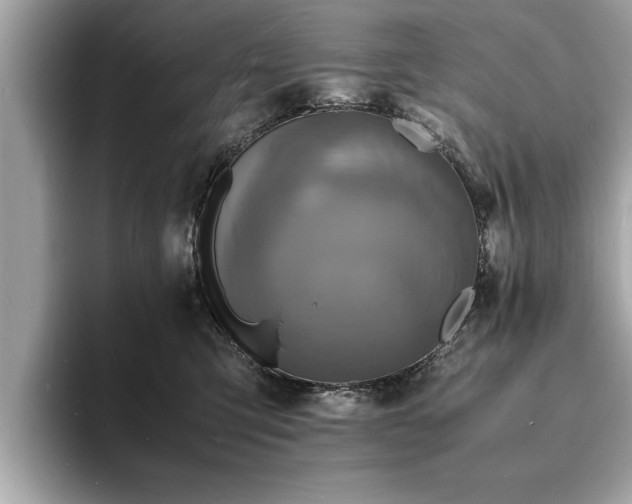 X0000094060423200710261229