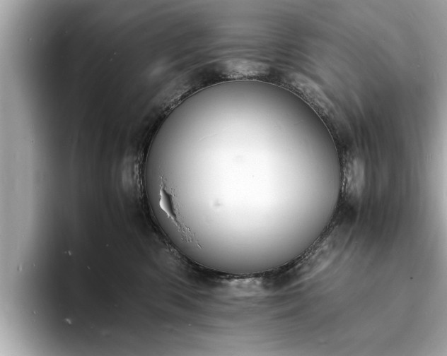 X0000094060426200710261229