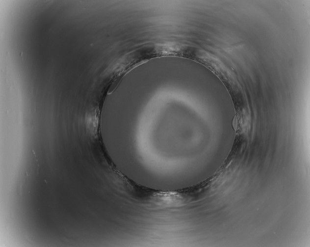 X0000094060427200710261229