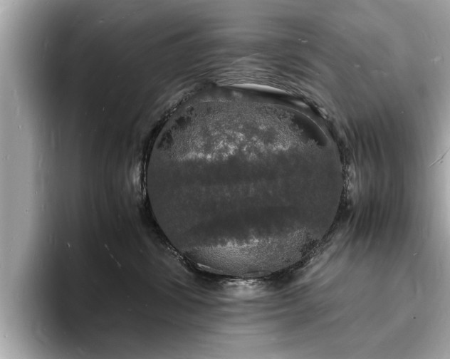 X0000094060428200710261229