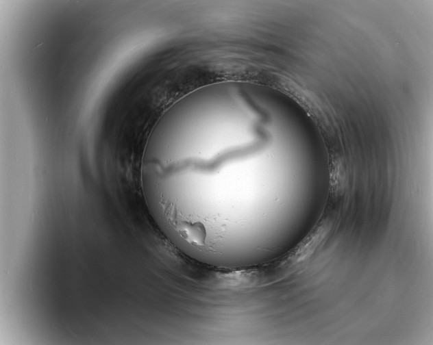 X0000094060430200710261229