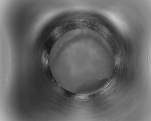 X0000094060431200710261229