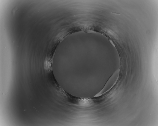 X0000094060432200710261229