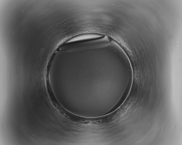X0000094060434200710261229