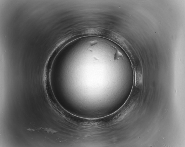 X0000094060435200710261229