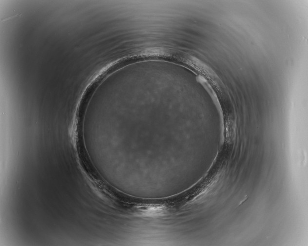 X0000094060436200710261229