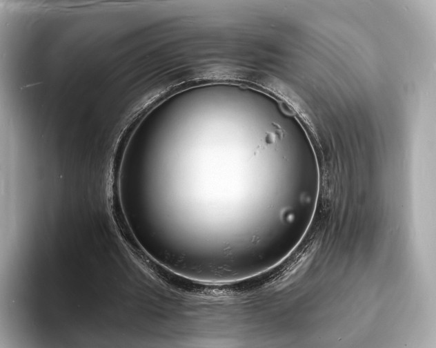 X0000094060437200710261229