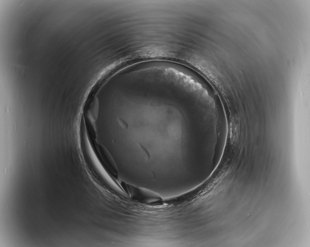 X0000094060438200710261229