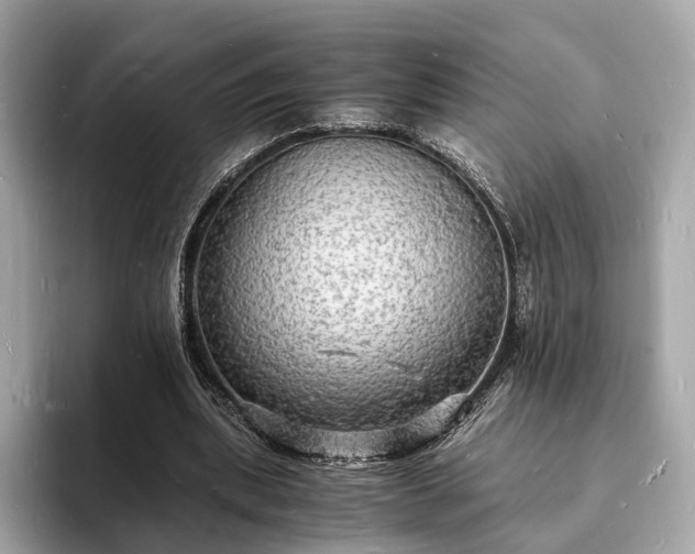 X0000094060439200710261229