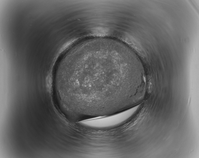 X0000094060440200710261229