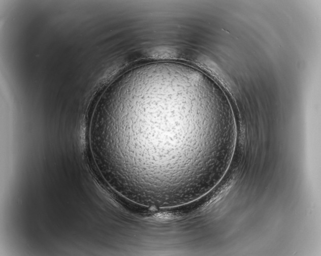 X0000094060441200710261229
