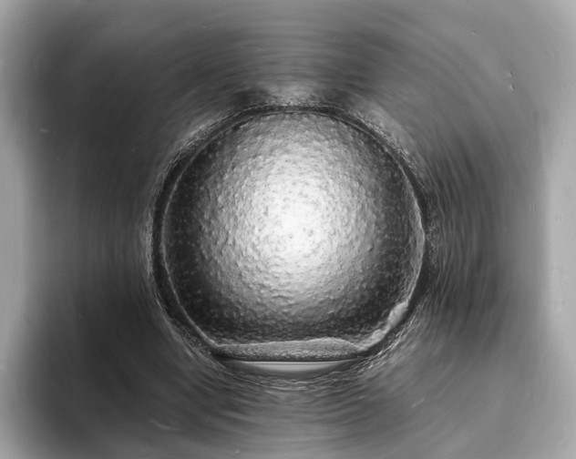 X0000094060442200710261229