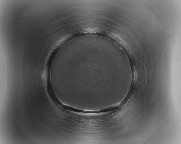X0000094060444200710261229