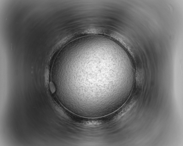 X0000094060445200710261229
