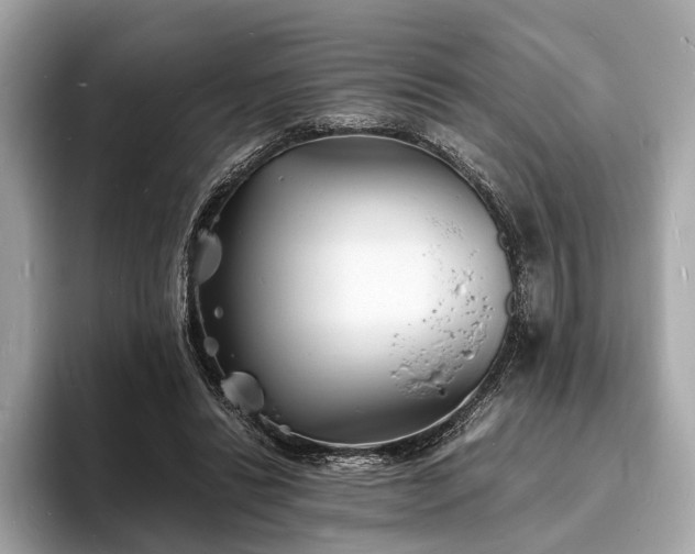 X0000094060446200710261229
