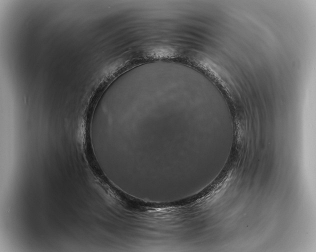 X0000094060447200710261229