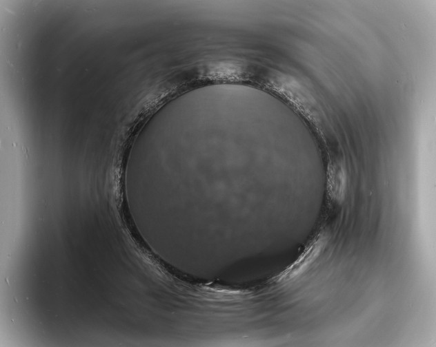 X0000094060449200710261229
