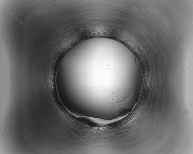 X0000094060450200710261229