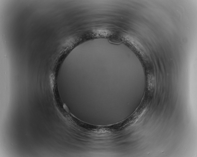 X0000094060451200710261229