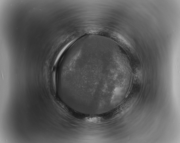 X0000094060452200710261229