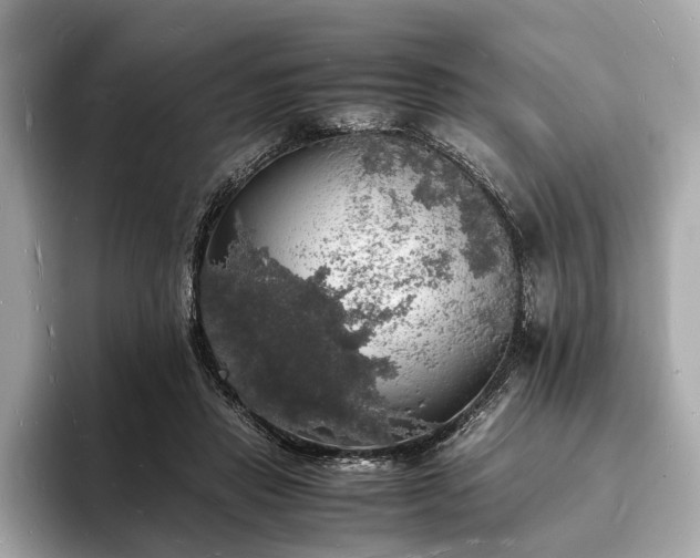 X0000094060453200710261229