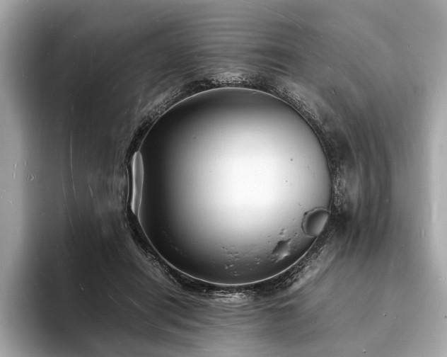 X0000094060454200710261229