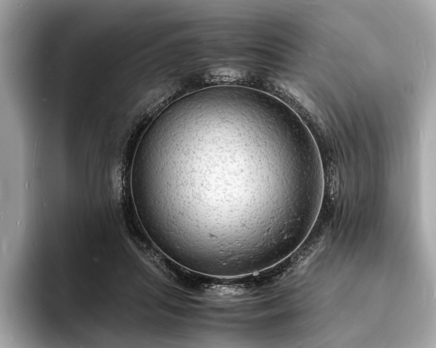 X0000094060455200710261229