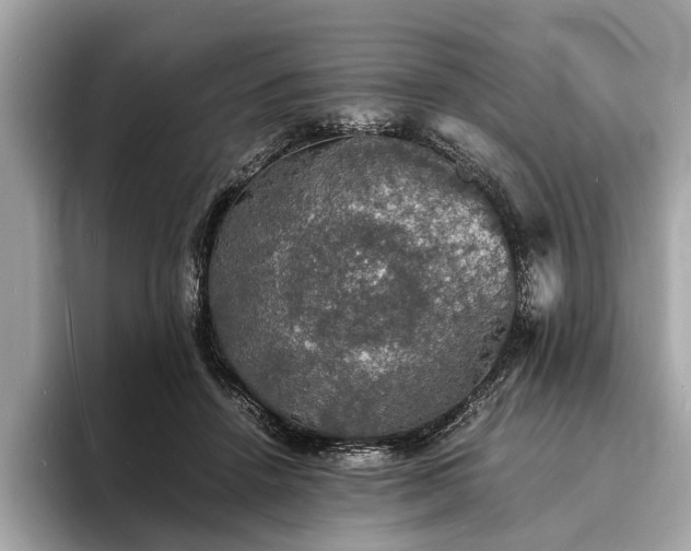 X0000094060456200710261229
