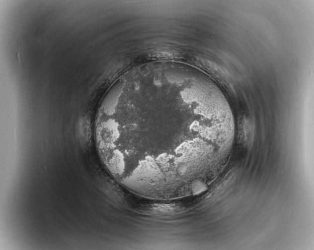 X0000094060457200710261229