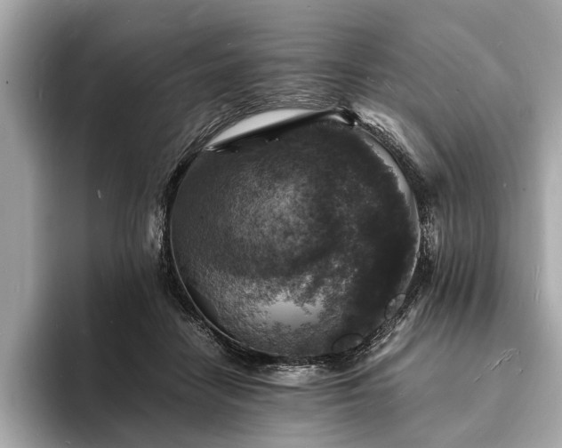 X0000094060458200710261229