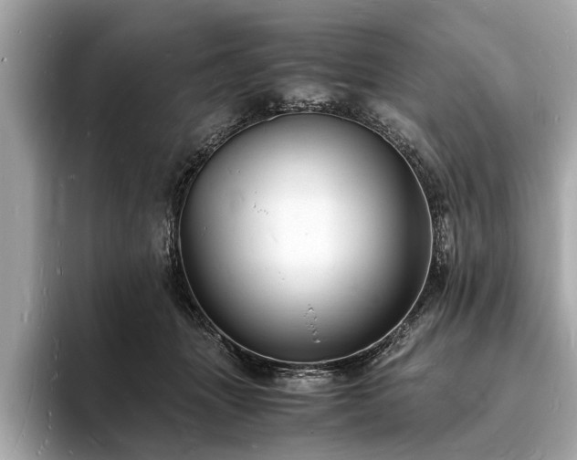 X0000094060463200710261229